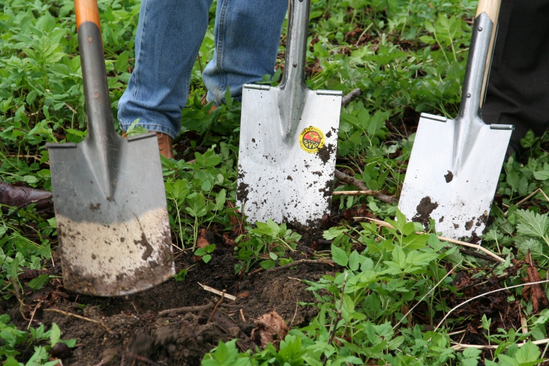 pepiniere-LA GAUDE-min_work-lawn-flower-tool-green-backyard-1103633-pxhere.com